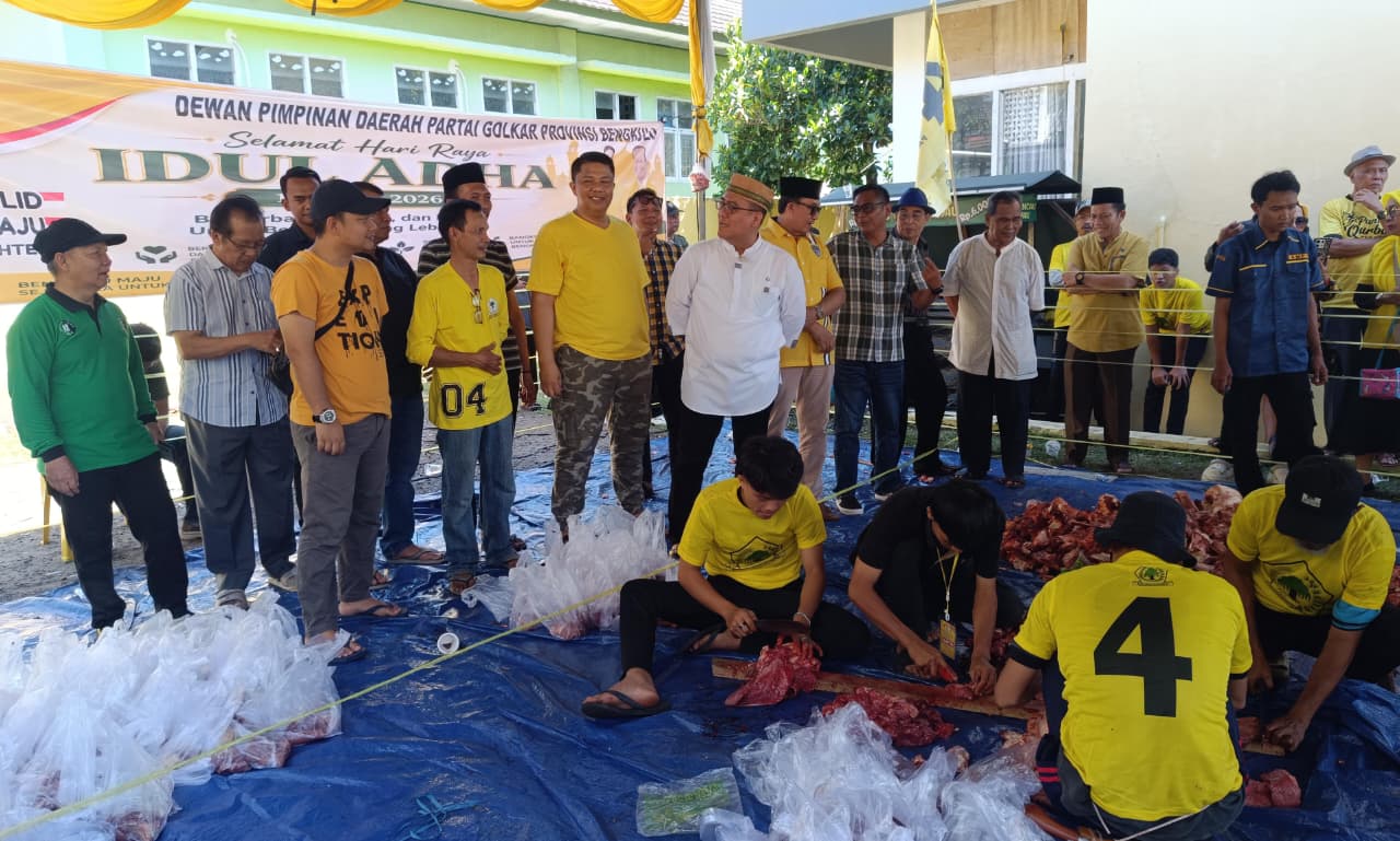 Golkar Bengkulu Sembelih Sapi Kurban Seberat 0,5 Ton Bantuan Ketum Bahlil