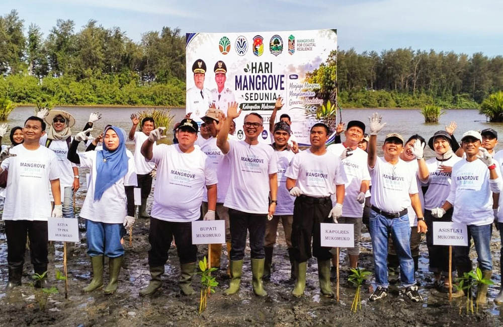Selamatkan Pesisir, Mukomuko Tanam 1.000 Mangrove di Hari Mangrove Sedunia