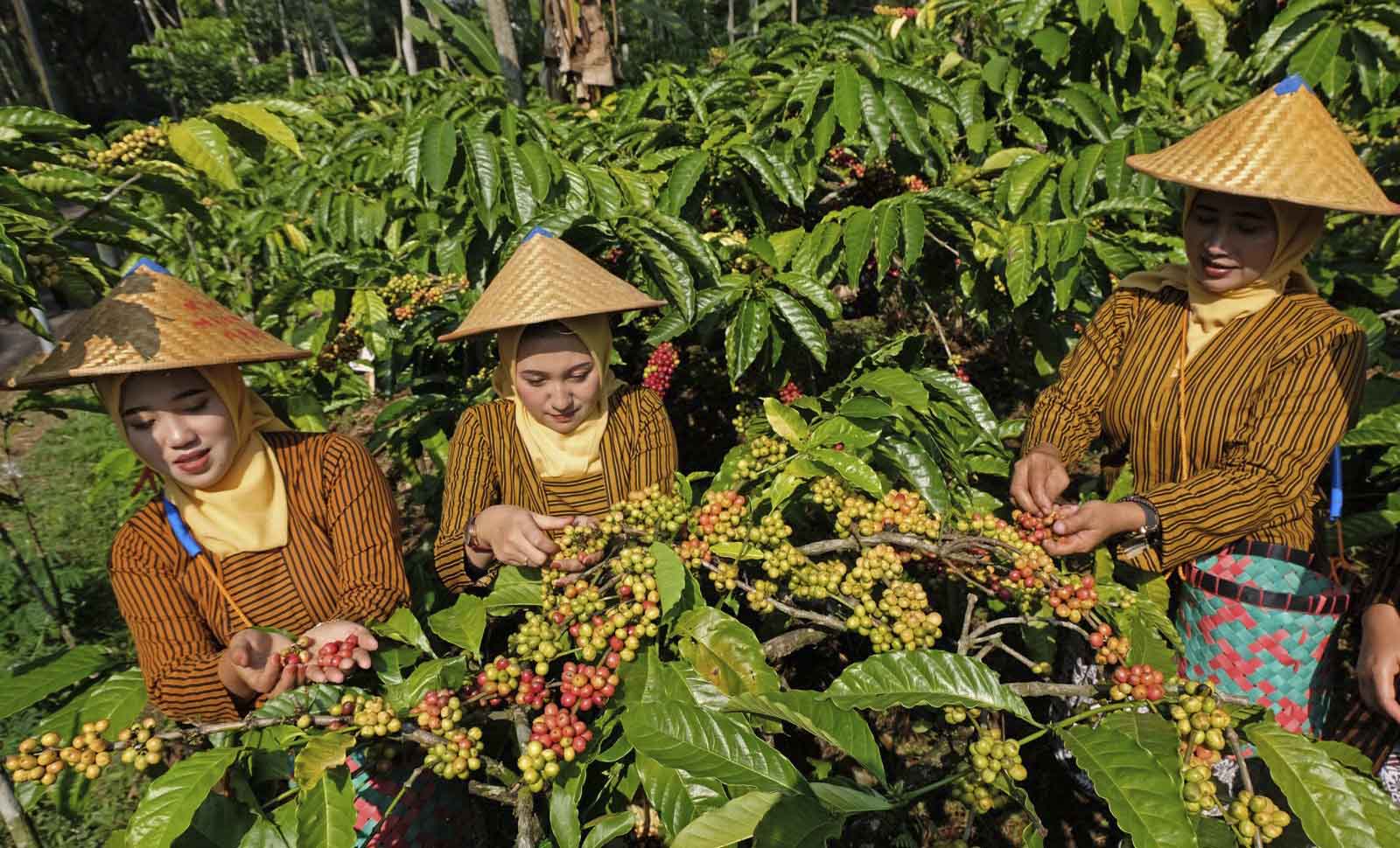Berdayakan 14,4 Juta Pengusaha Wanita, BRI Berkomitmen Ciptakan Ekonomi Inklusif dan Setara Gender