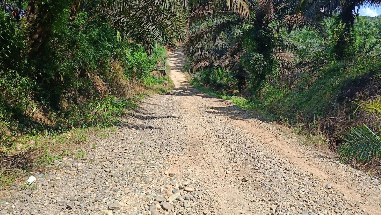 1,5 Km Jalan Poros di Desa Bangun Karya Babak Belur, Kades: Harapan Kami Bisa di Hotmix