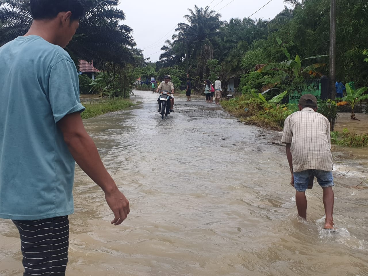 9 Rumah di Desa Karya Pelita Terendam Banjir