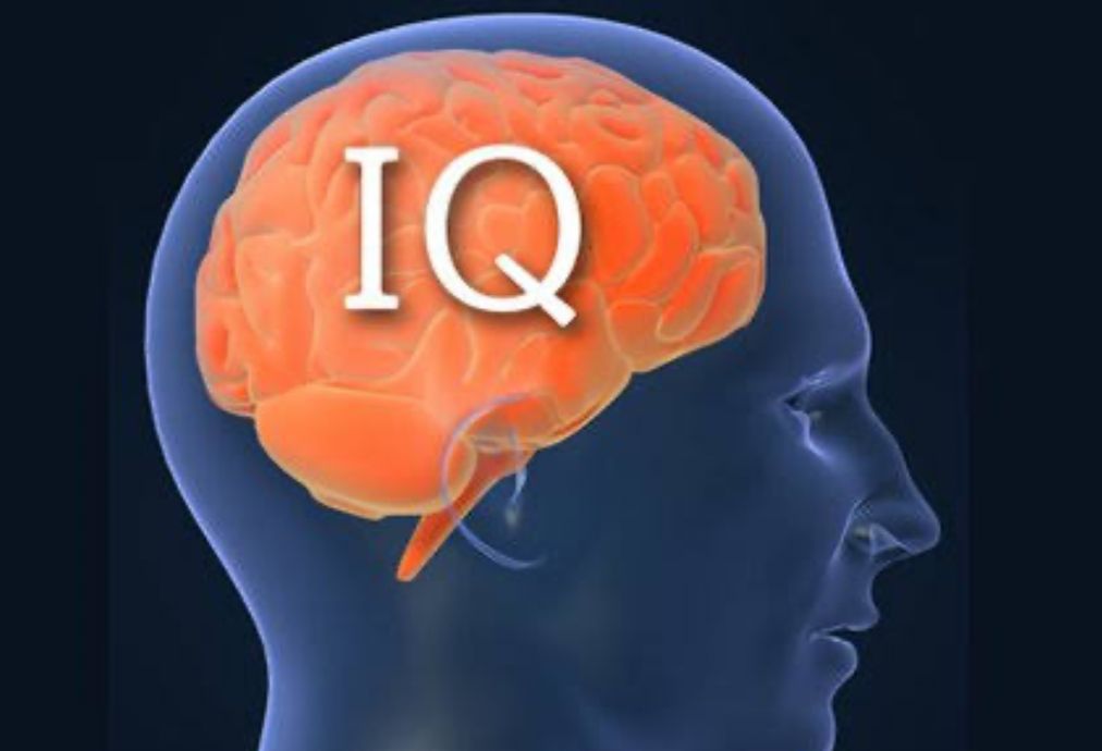 Genius, Ini 10 Negara yang Miliki IQ Tertinggi di Dunia
