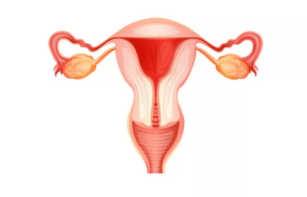 Kenali 5 Jenis Kanker yang Sering Menyerang Anak Muda