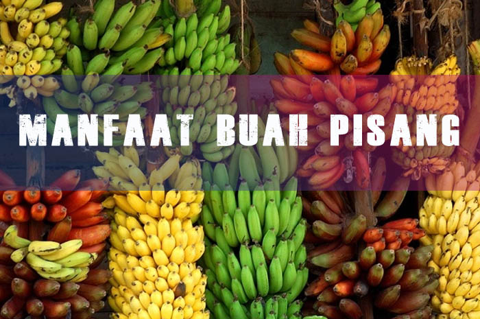 Perut Kosong? Ini Sederet Manfaat Buah Pisang untuk Sarapan