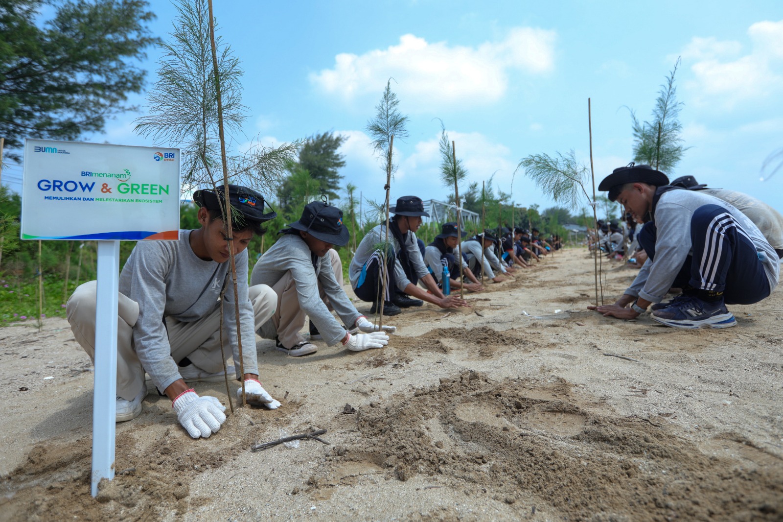 Peringati HLH Sedunia, BRI Komitmen dalam Menjaga Ekosistem Lingkungan melalui BRI Menanam–Grow & Green