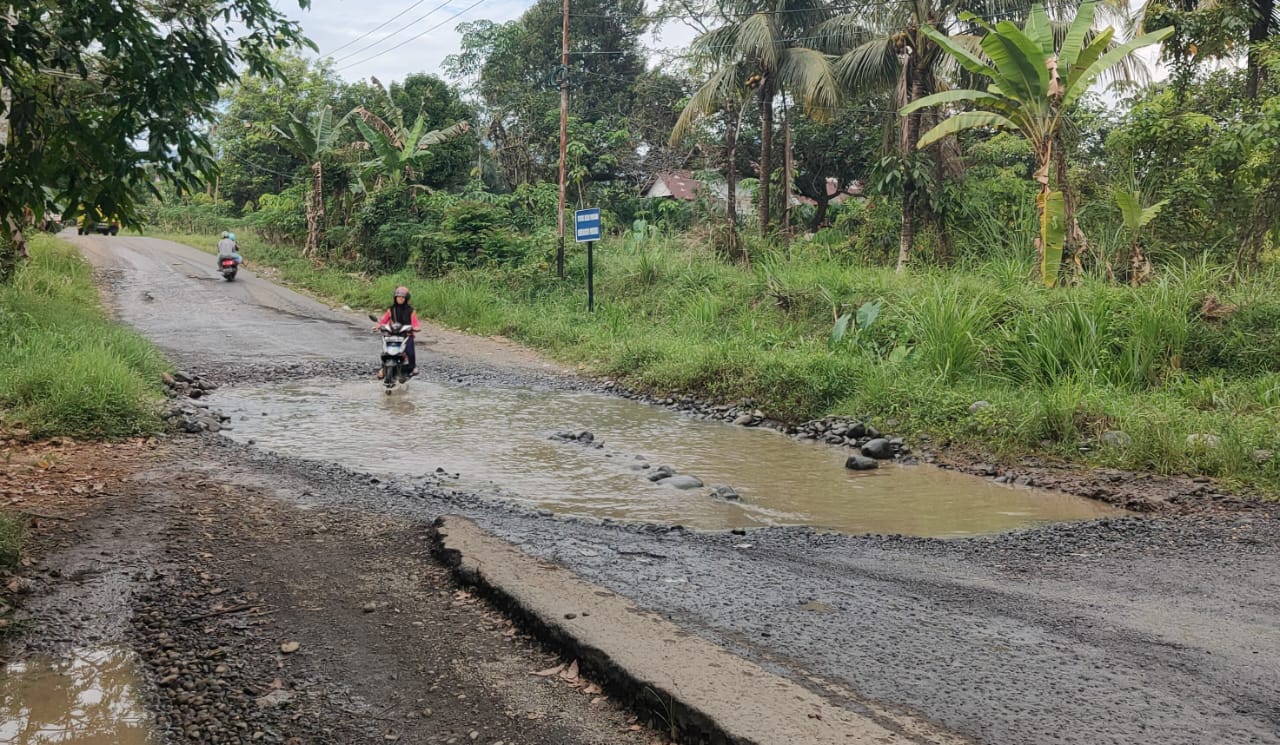 Datang ke Bengkulu, Masyarakat Minta Presiden Jokowi Tinjau Jalan Rusak di Bengkulu Utara