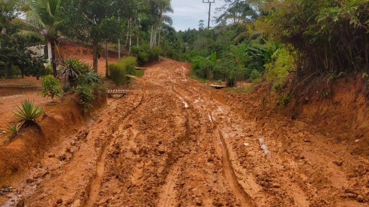 Miris, Ganti Kepala Daerah, Jalan di Kinal Jaya Masih jadi Kubangan Kerbau