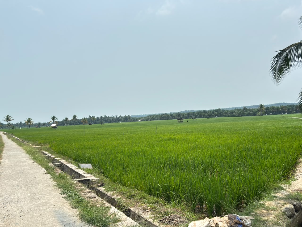 Air Mulai Terbatas, Petani Karya Jaya Siapkan Mesin Hadapi Kemarau