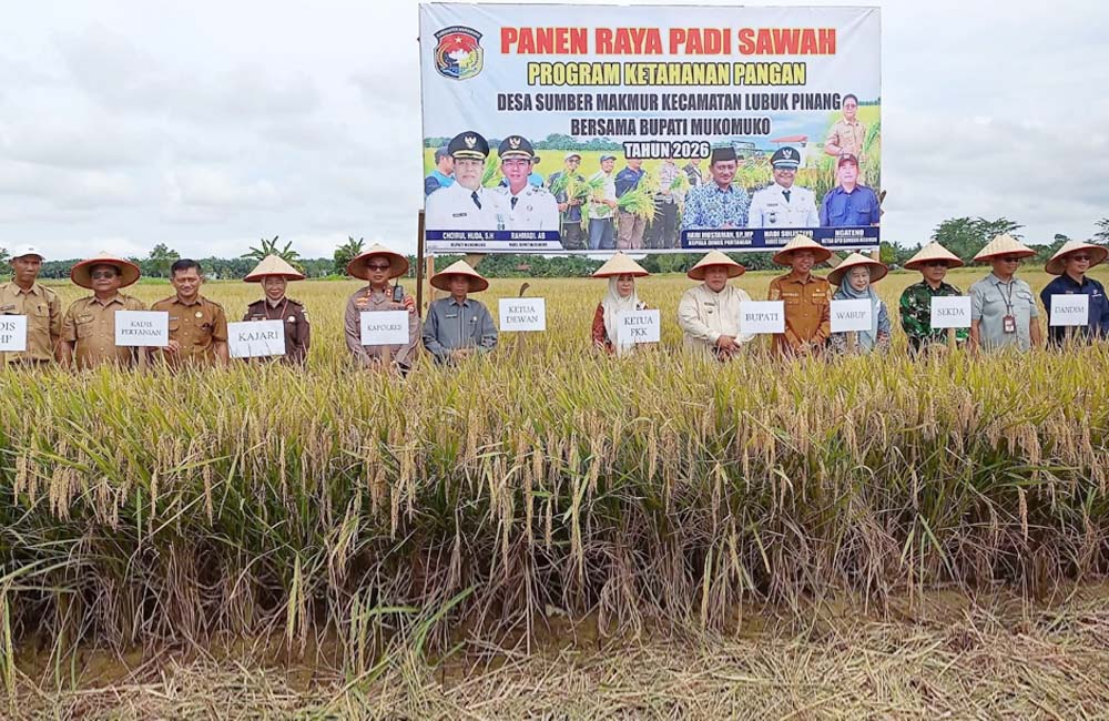 Panen Raya di Sumber Makmur, Pemkab Mukomuko Dorong Target Surplus Pangan