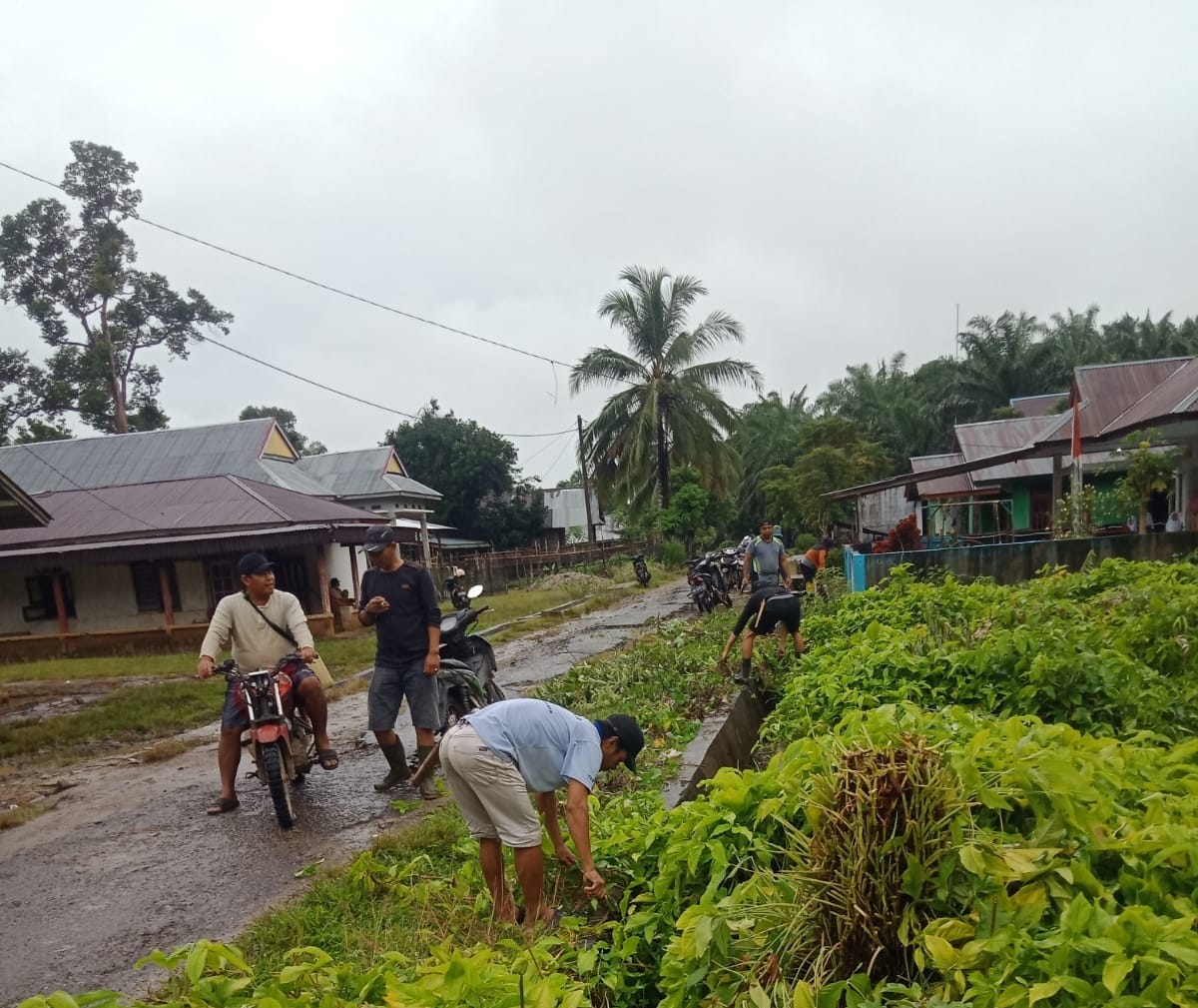 Tangkal Kasus DBD, Warga Suka Negara Intensifkan Kegiatan PSN