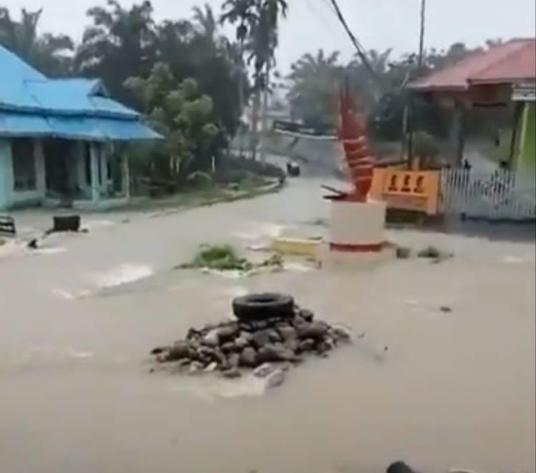 Puluhan Rumah Warga Desa Medan Jaya Terendam Banjir