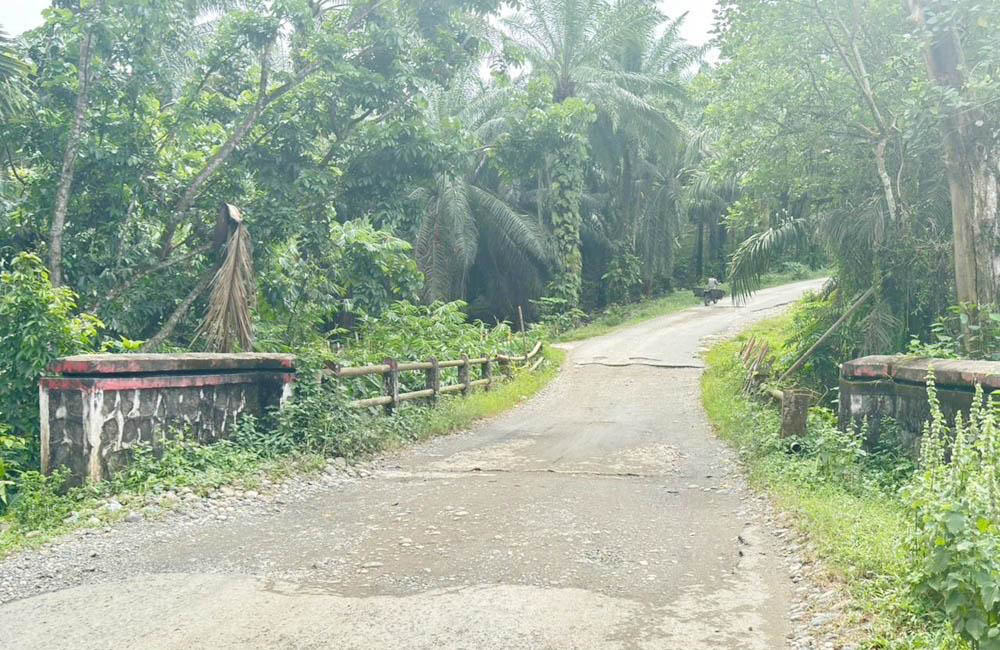 Kebut Perluasan Lahan, Jembatan Air Mumbang Harus Terlaksana 