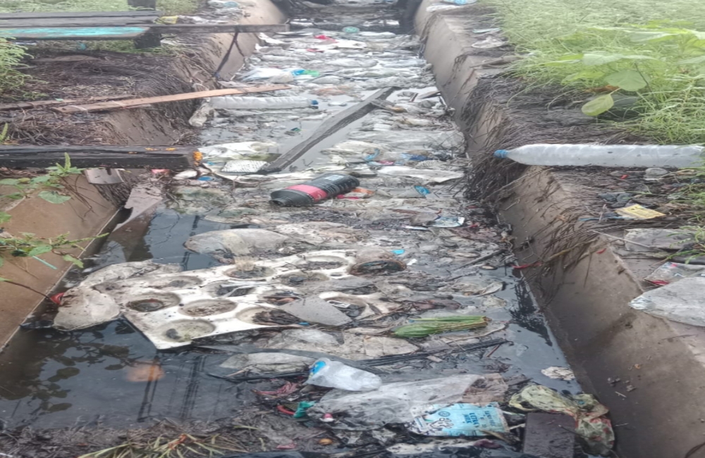 Parit Pasar Lubuk Sanai III Jadi Sarang Sampah, Warga Dihantui Ancaman DBD