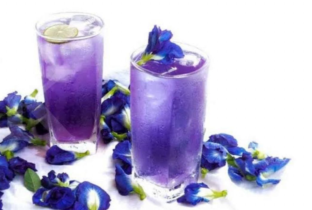 Selain Cantik, Ini 5 Resep Minuman dari Bunga Telang yang Menyegarkan Tenggorokan