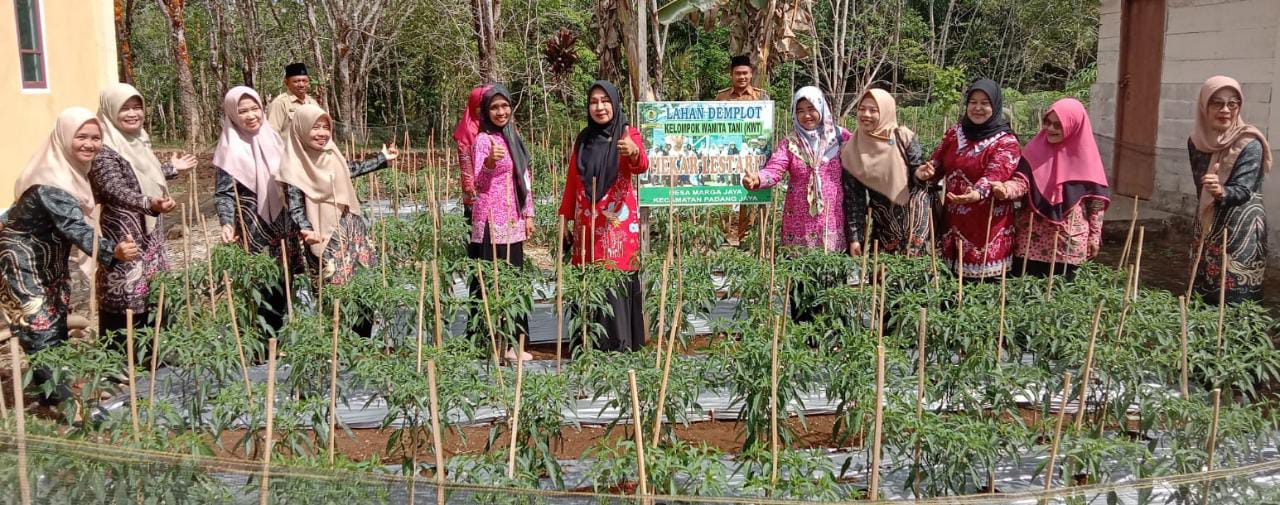 Kunjungi Marga Jaya, Ny Mian Minta Kader Seriusi Program Pemanfaatan Pekarangan