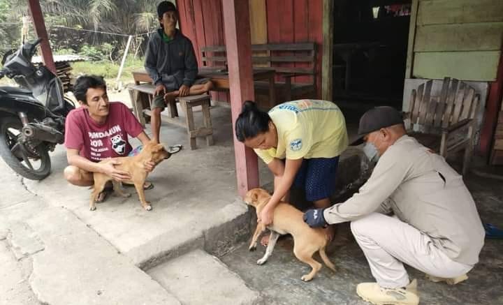 Petugas Puskeswan Keliling Desa Suntik Rabies Hewan Peliharaan Milik Warga