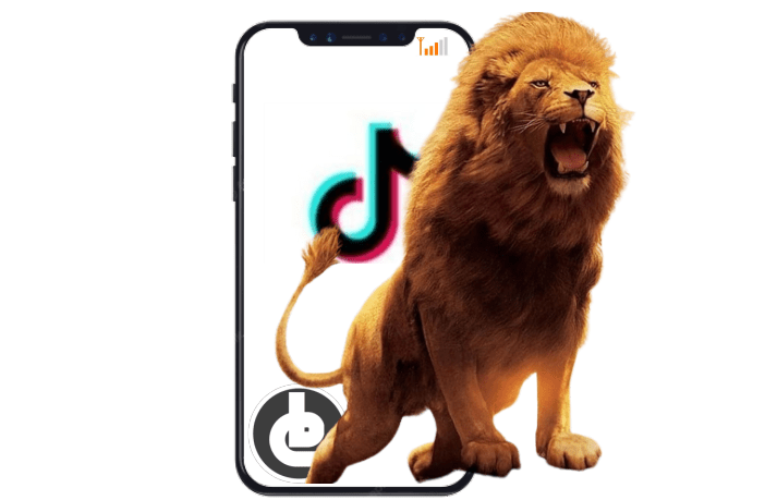 Pundi Rupiah dari Gift Singa di Tiktok, Berapa Penghasilannya?