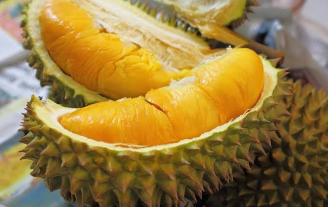 Bukan Musang King, Ternyata Jenis Ini Memegang Predikat Durian Paling Mahal di Dunia