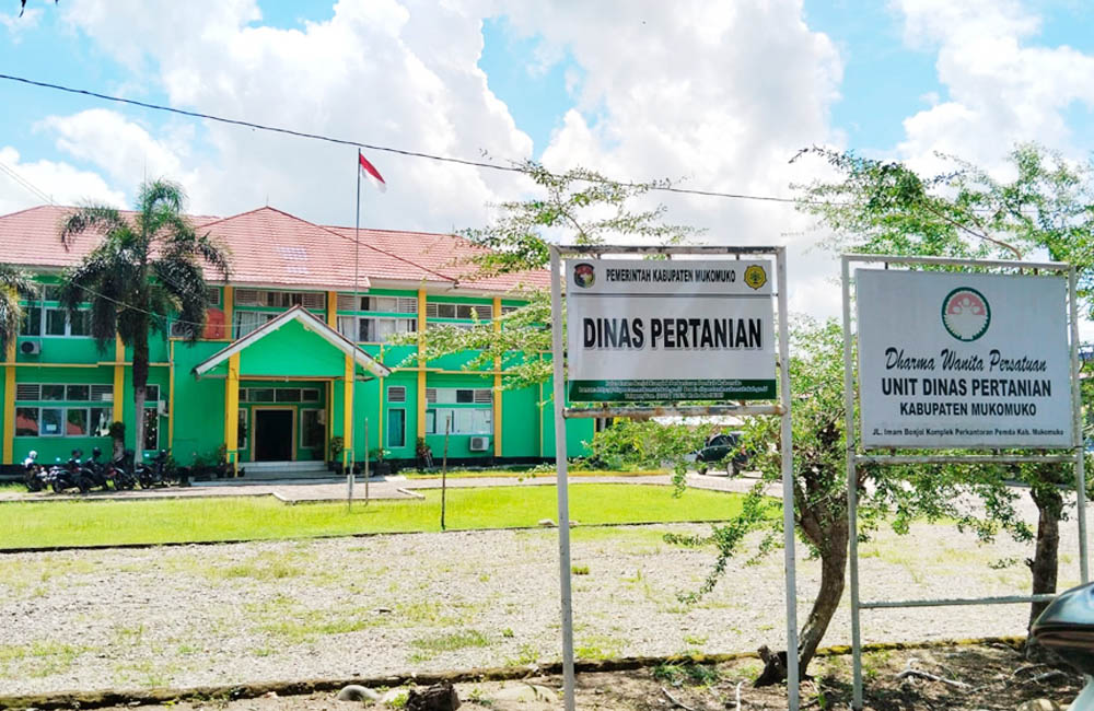 Dinas Pertanian Tolak Replanting Sawit di Lahan HGU dan Kawasan Hutan