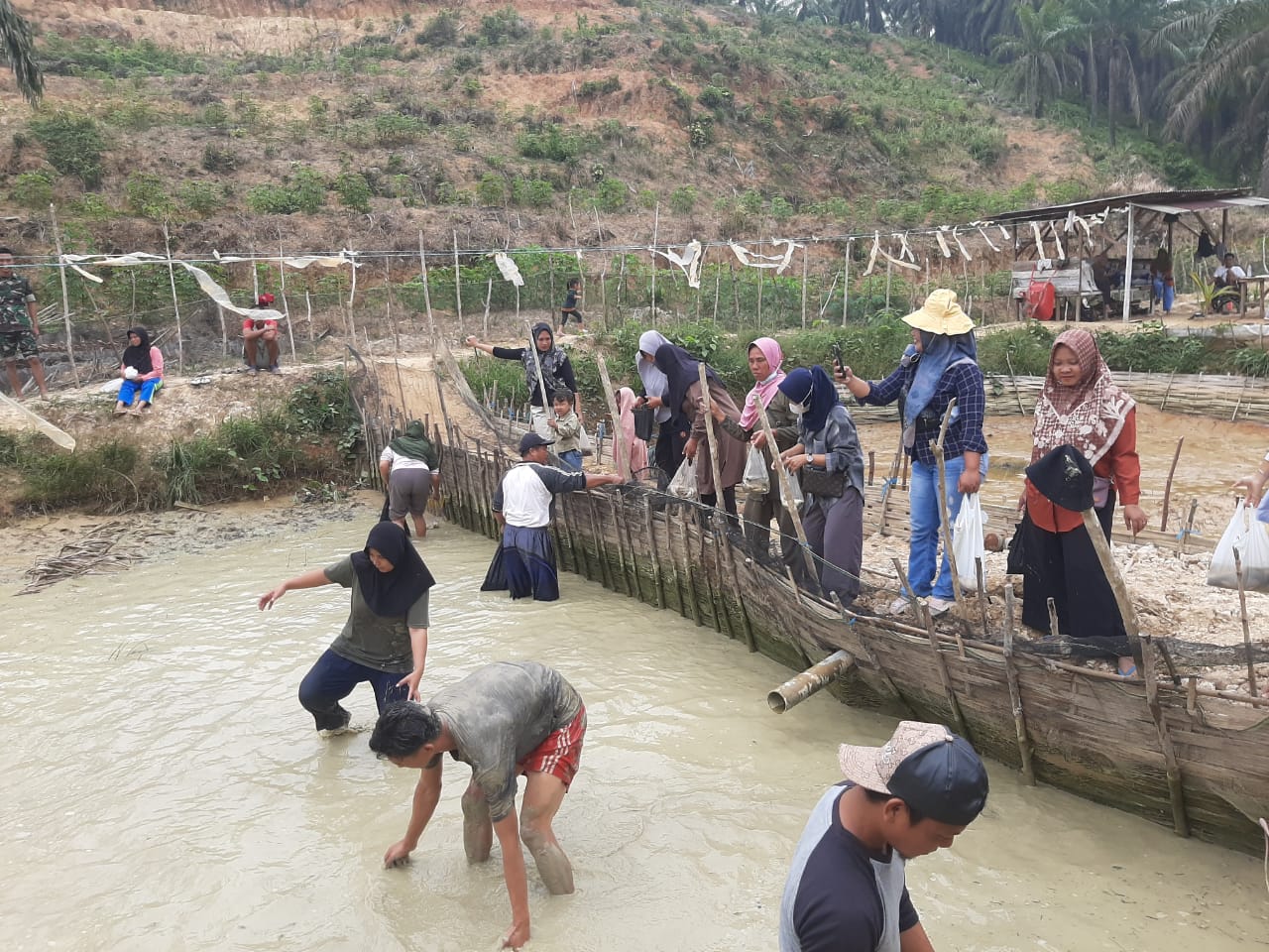 Pemdes Talang Arah Berhasil Laksanakan Panen Perdana Program Ketahanan Pangan Hewani