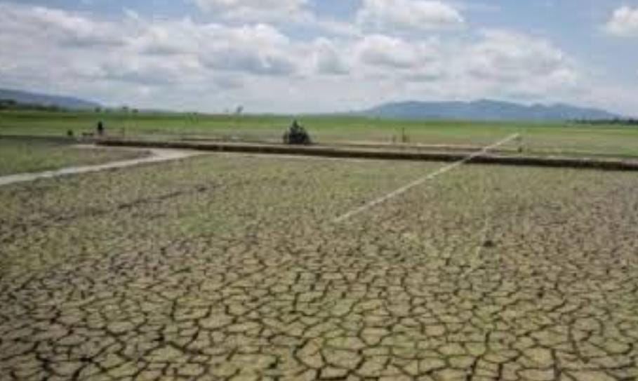 Antisipasi Fenomena El Nino dan Dampaknya, Camat Kumpulkan Kepala Desa se-Putri Hijau