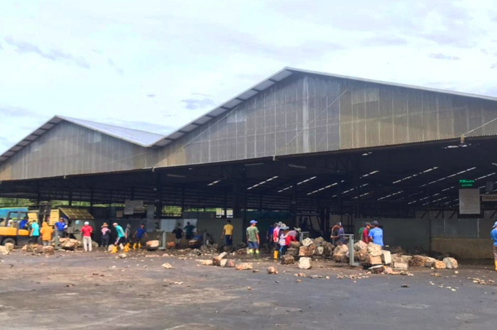 Pabrik Karet Bangkrut, Ini Kata Kadis Perkebunan Bengkulu Utara