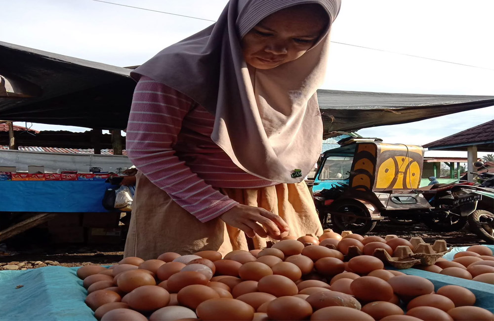 MBG Libur, Harga Kebutuhan Pangan Turun, Warga Sumringah
