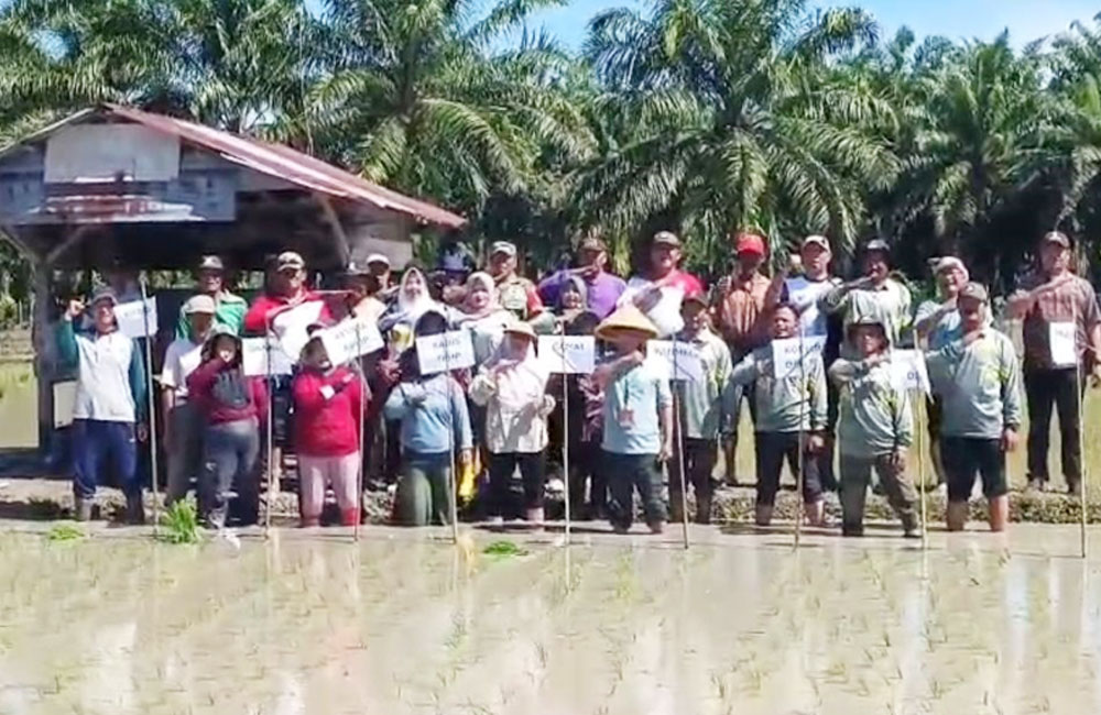 Program Oplah Suka Baru Terus Digenjot, Petani Harap Dukungan Alsintan