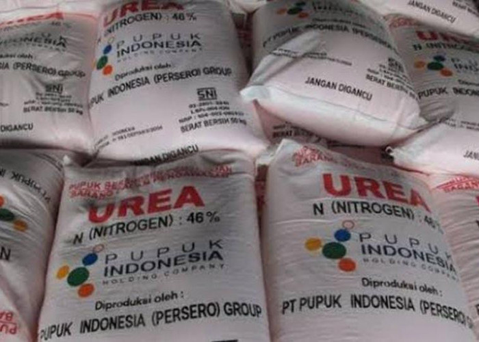 Petani Diminta Jangan Risau, Pemerintah Akan Menambah Pupuk Subsidi Tahun Ini 