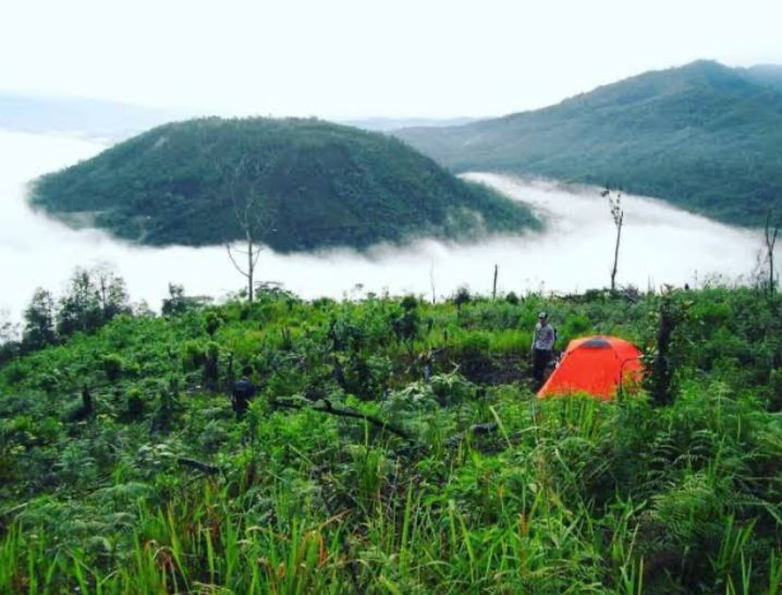 Wisata Bukit Pabes, Pesona Negeri di Atas Awan Lebong