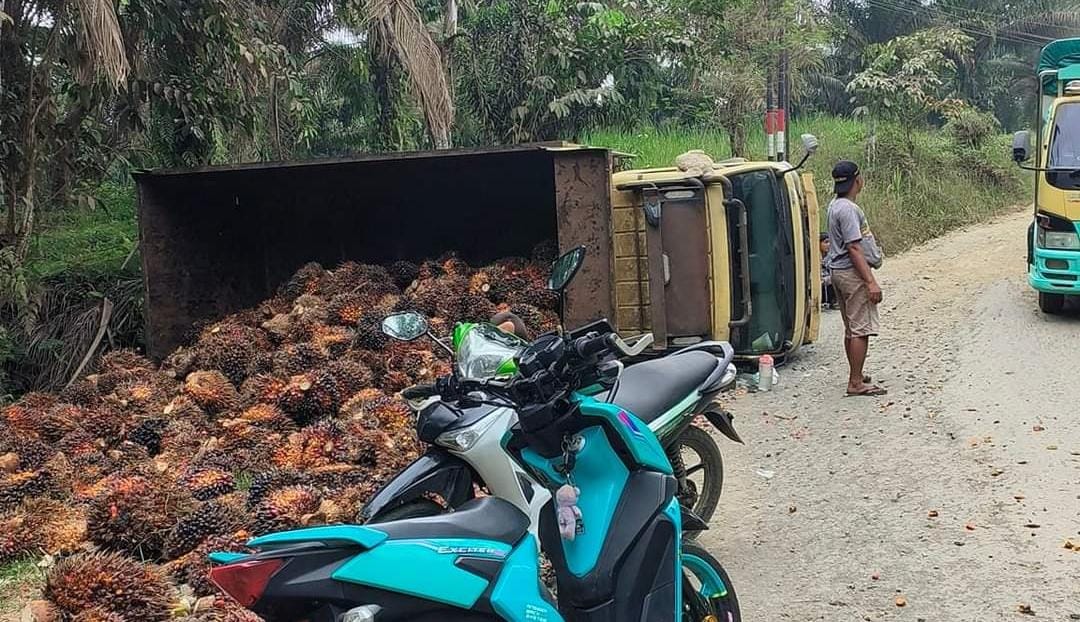 Imbas Infrastruktur Jalan Rusak, Truk bermuatan TBS Terguling di Padang Jaya