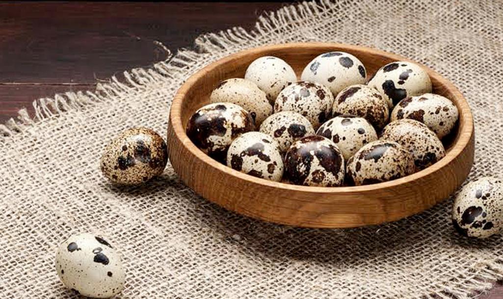 Beragam Manfaat Telur Puyuh untuk Kesehatan Tubuh