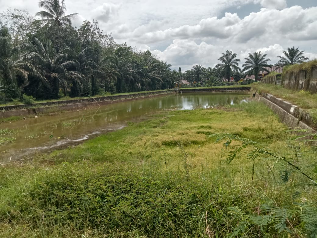 Embung Bernilai Ratusan Juta di Desa Tambak Rejo Bengkulu Utara Mangkrak, Begini Kata Kades