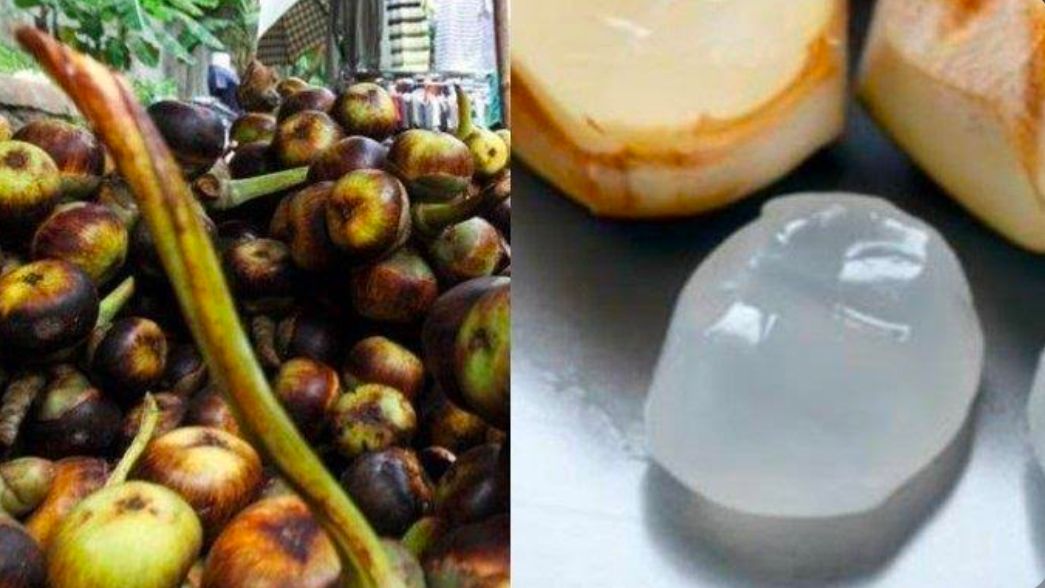 Baik untuk Pencernaan, Ini 4 Manfaat Buah Lontar