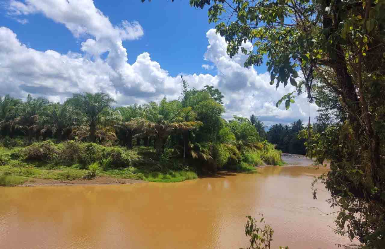 Jernihnya Sungai TAP Hanya Tinggal Kenangan?