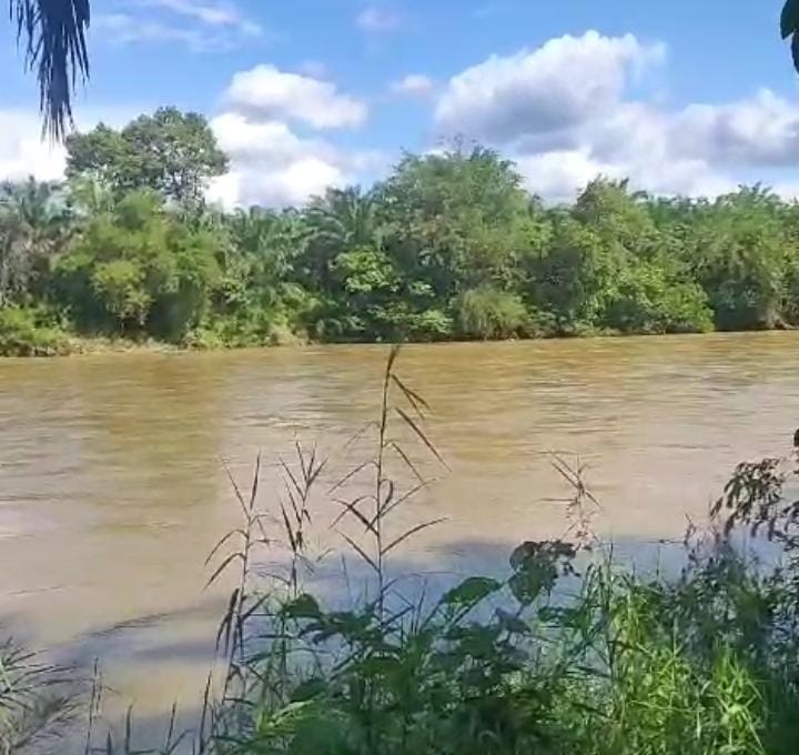 Hujan Turun Lagi, Warga di Bantaran Sungai Ketahun Diminta Waspada, Camat: Tadi Debit Air Naik 1-1,5 Meter