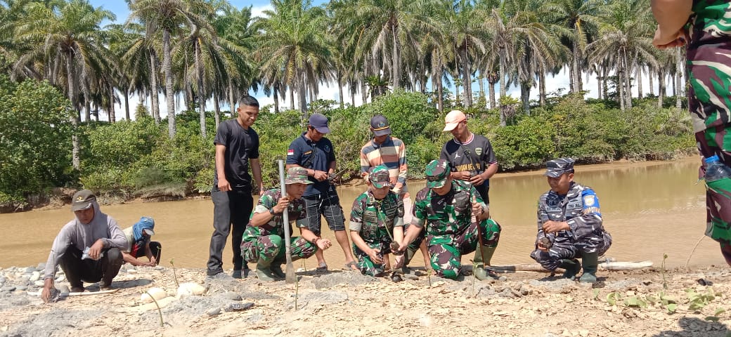 Antisipasi Abrasi, Dandim 0423 Bengkulu Utara Ajak Nelayan dan Masyarakat Tanam Mangrove 
