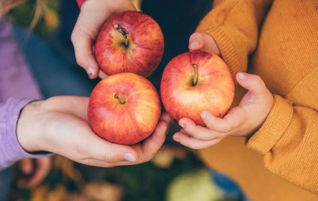 Sering Dijadikan Menu Diet, Ternyata Buah Apel Juga Sangat  Bagus untuk Kesehatan Kulit