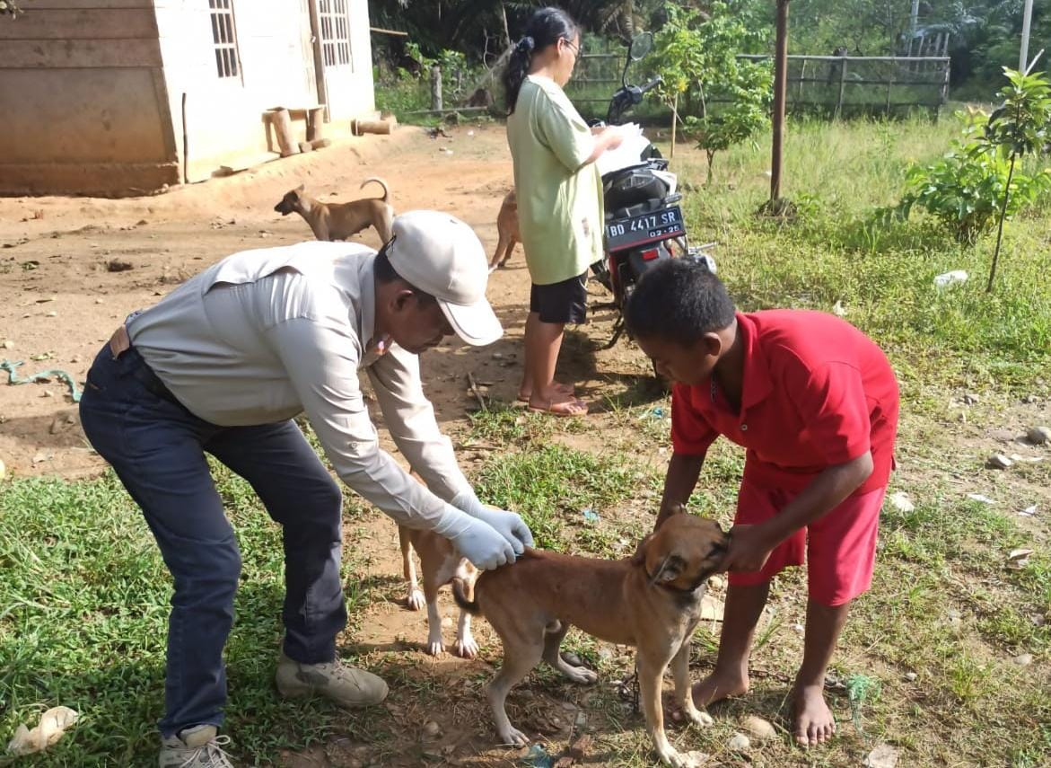 Puskeswan Siapkan 430 Dosis Vaksin Rabies Gratis, Jenis Hewan Ini Jadi Sasaran