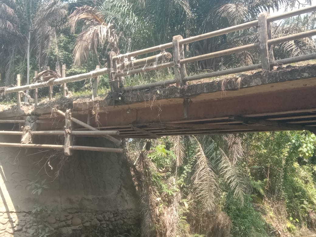 Pemerintah Tak Kunjung Alokasikan Anggaran untuk Tangani Jembatan Karya Jaya, Hariyadi: Nunggu Ambruk!