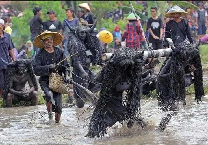 Legenda 'Sewu Mili' dan Asal Usul Tari Kebo-Keboan yang Terkenal di Banyuwangi