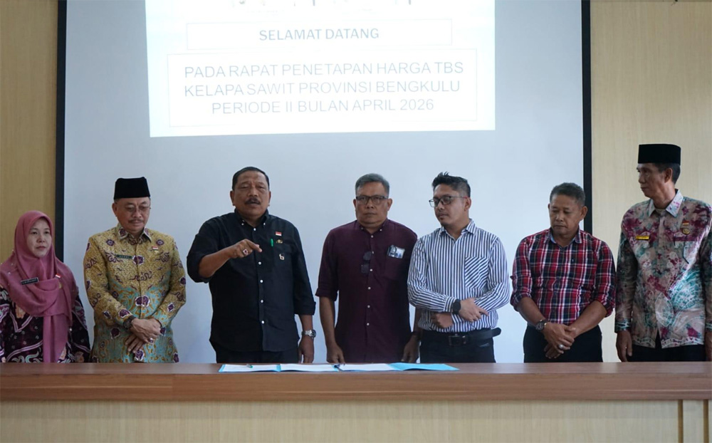 Harga TBS Kelapa Sawit di Bengkulu Berpotensi Rugikan Petani