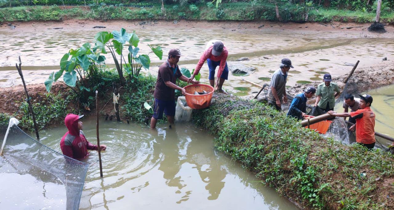 Berkah Kunjungan Presiden Jokowi, Petani Ikan di Padang Jaya Terima Mesin Pembuat Pakan