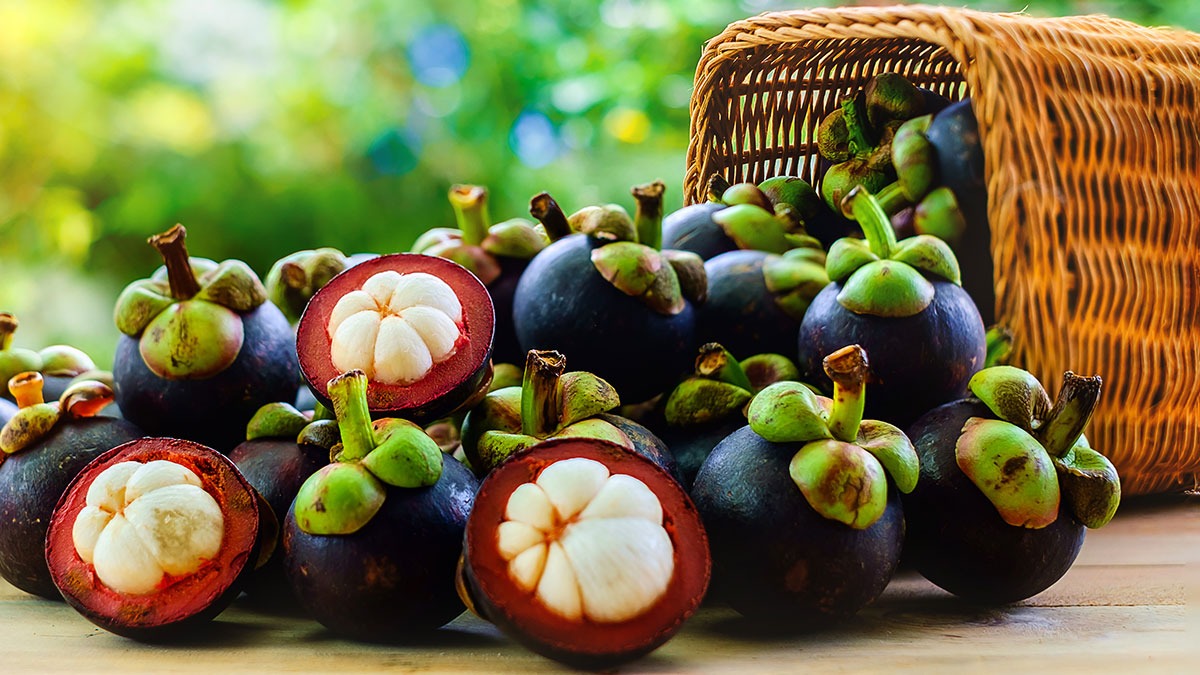 Terkenal Kaya Manfaat, Ternyata Ini Kandungan Vitamin yang Terkandung di Dalam Buah Manggis