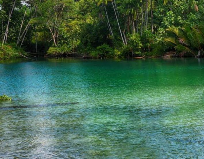 Tak Disangka, Ternyata di Pulau Enggano Bengkulu Ada Kolam Sebening Kaca, Mau Coba?