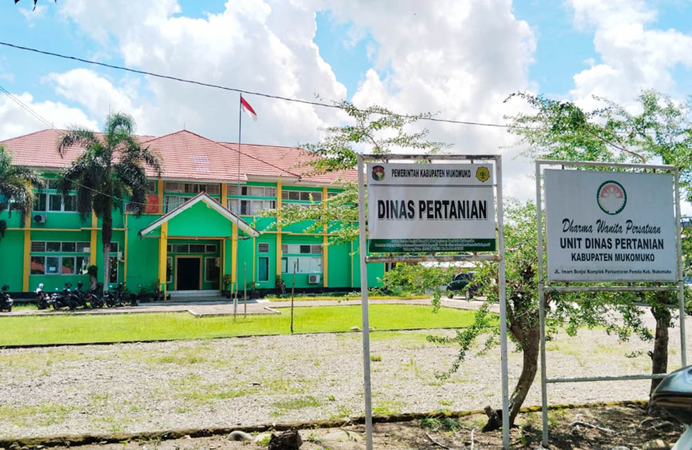 Perkebunan Sawit Rakyat Pegang Kendali Ekonomi di Mukomuko