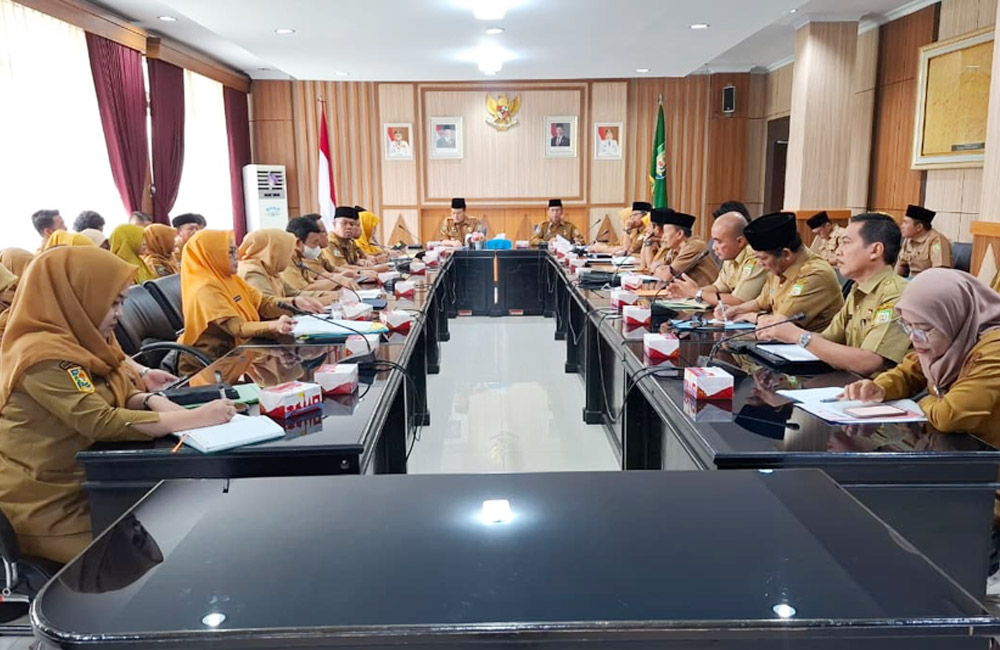 Perkuat Efektivitas Pemerintahan, Perampingan OPD Dinilai Solusi Tepat