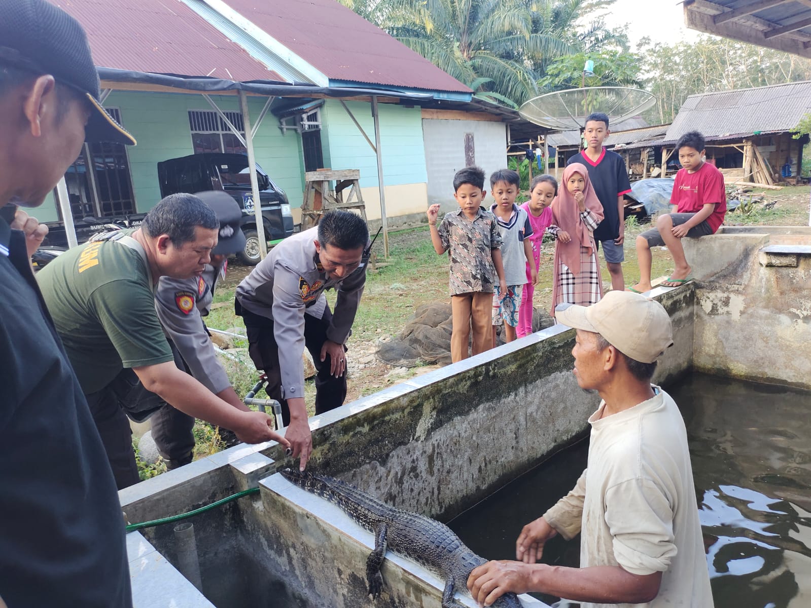 Warga diminta Waspada, BKSDA Selidiki Munculnya Buaya di Padang Jaya 