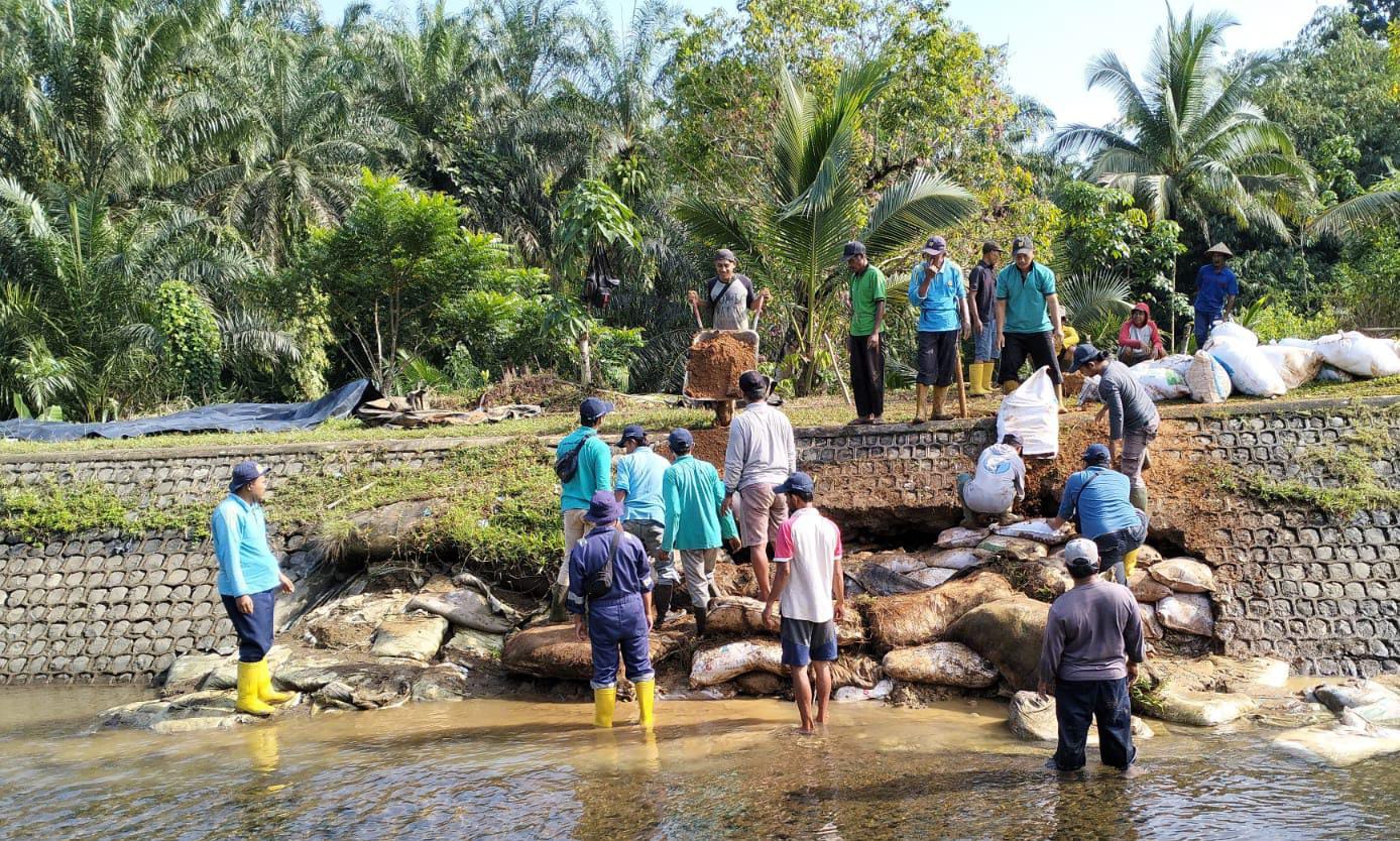 Tangani Irigasi Jebol, BWS PUPR Gotong Royong Perbaikan Darurat di Bengkulu Utara