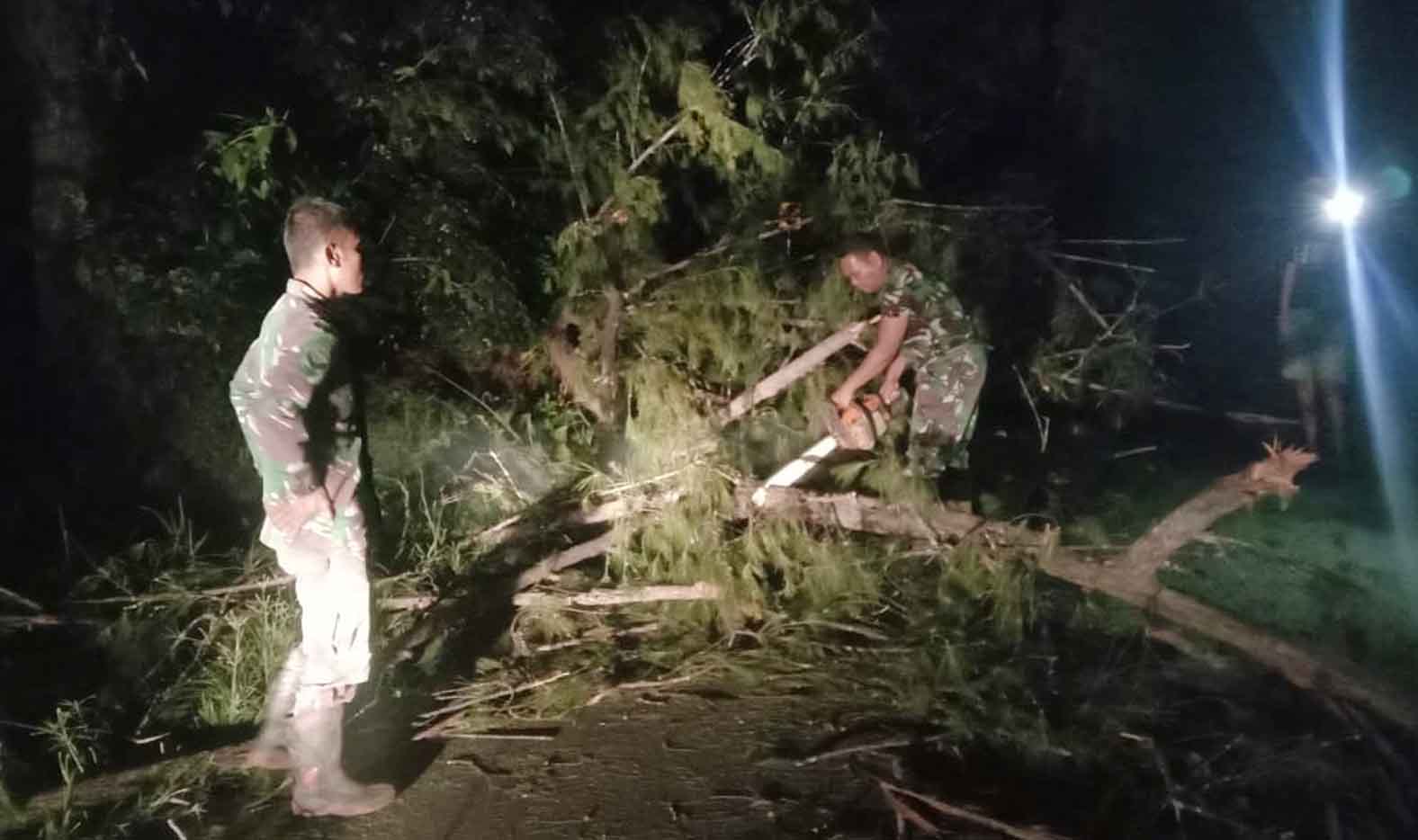 Antisipasi Korban, Koramil Ketahun Gercep Bersihkan Pohon Tumbang di Jalinbar